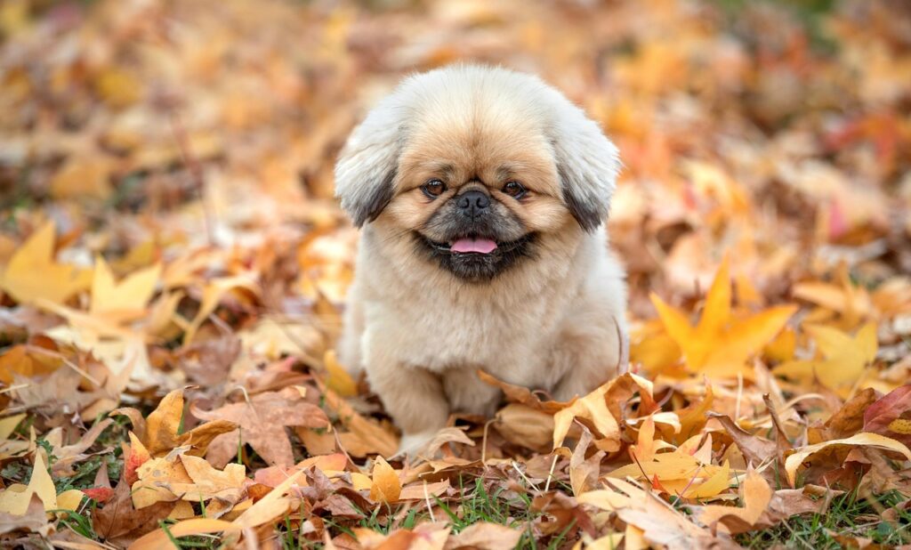 足の臭いをチェックする方法は？