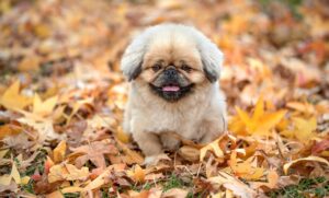 水虫の臭いを効果的に改善する方法は？