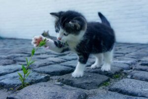 足のにおいを本当に効いた方法で解消するには？